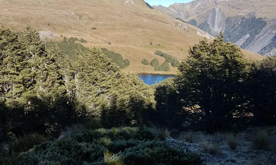 Cass-Lagoon Trail, Canterbury