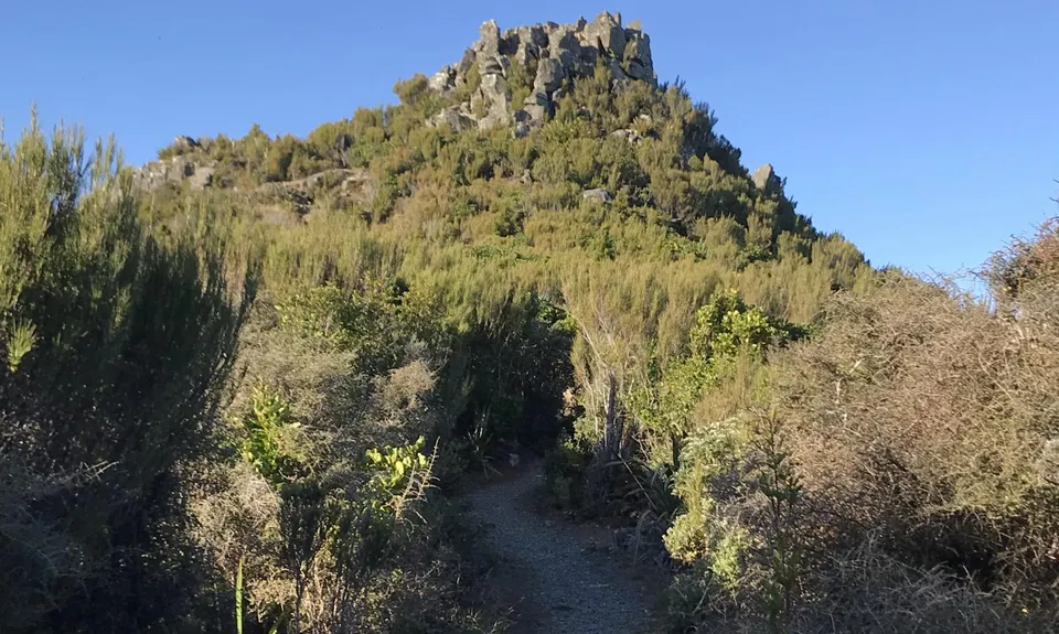 Mt Cargill and Organ Pipes, Otago