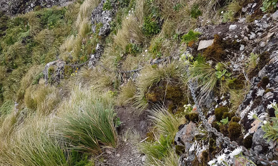 South Main Range Loop , Wellington