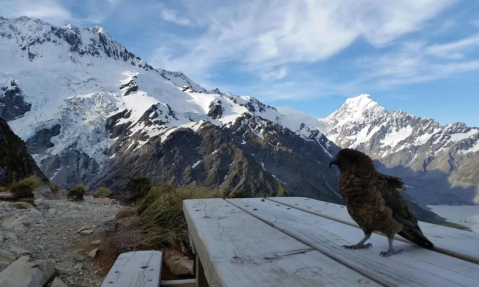 Mueller Hut, Canterbury
