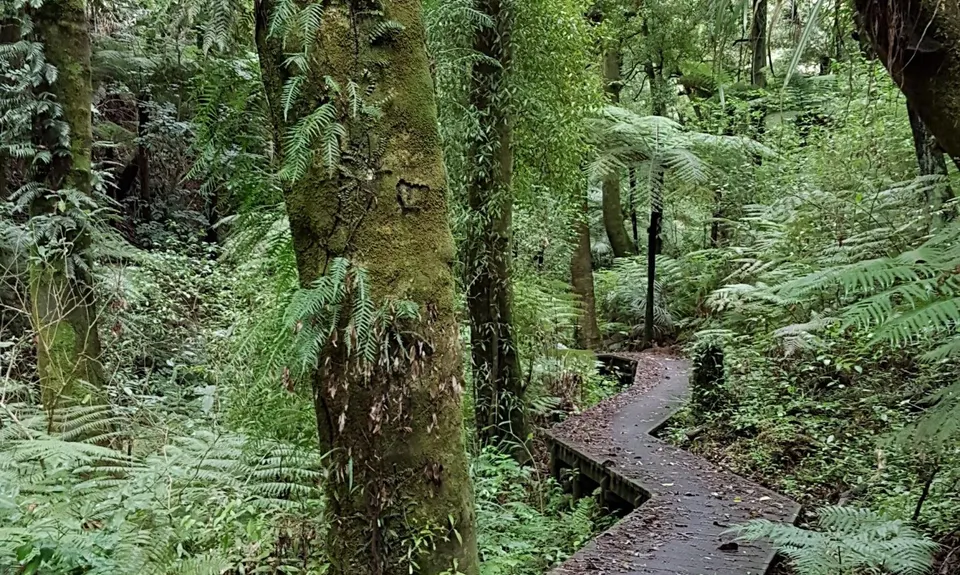 Nga Tapuwae o Toi Trail, Bay of Plenty