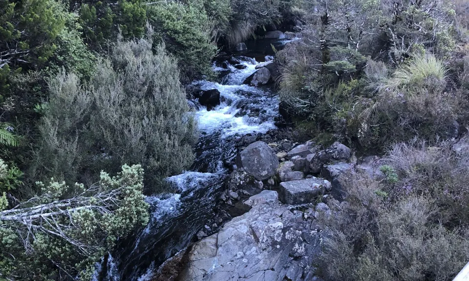 Whakapapaiti Loop, Manawatu - Wanganui