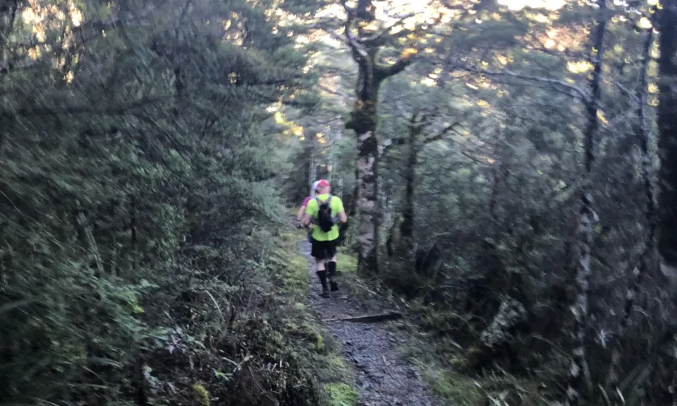 Whakapapaiti Loop, Manawatu - Wanganui