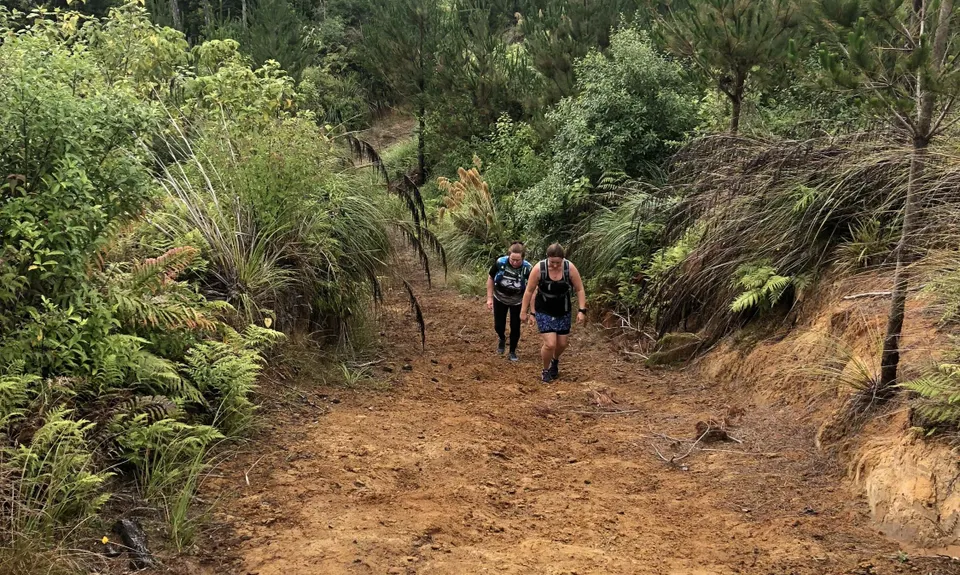 Buffalo Girl Trail - Tect Park, Bay of Plenty