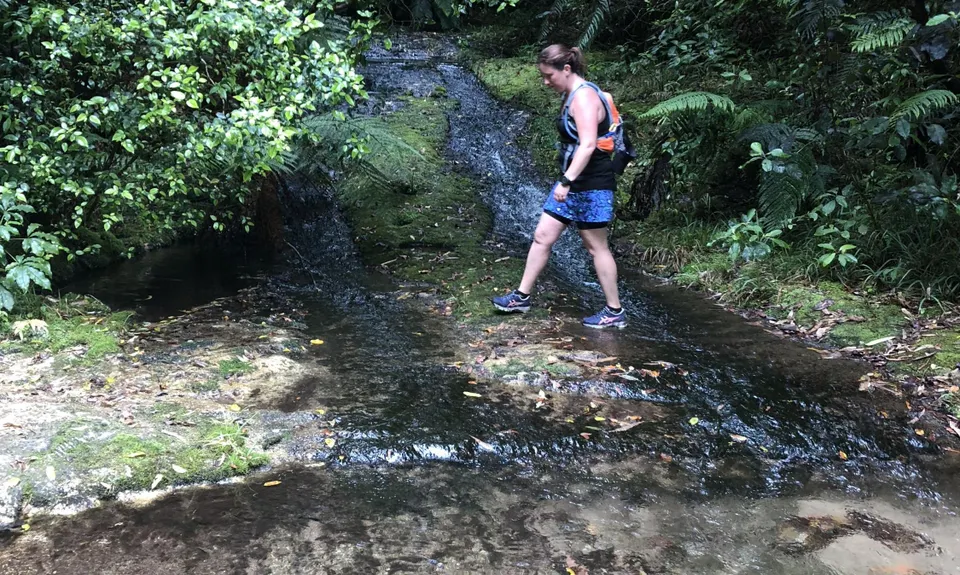 Buffalo Girl Trail - Tect Park, Bay of Plenty