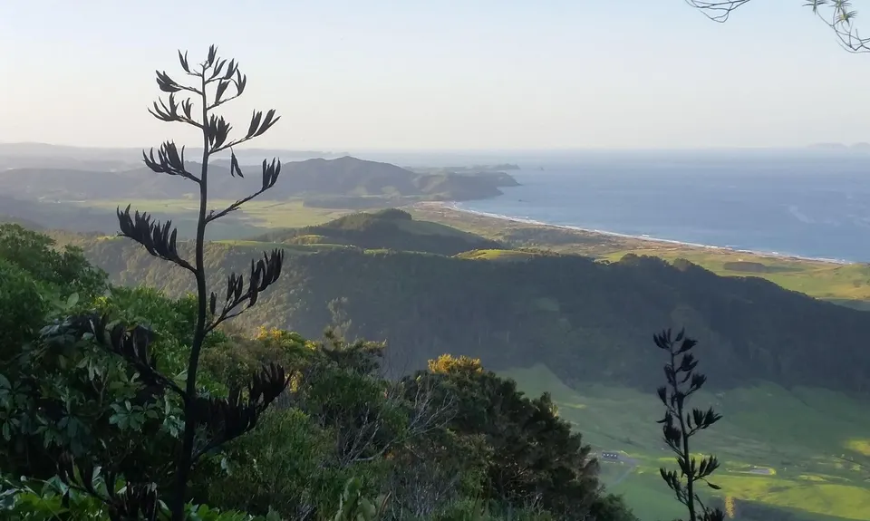 Te Whara / Bream Head, Northland