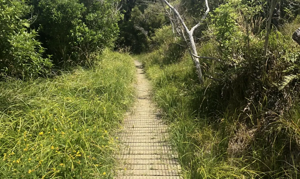 QCT - Anakiwa to Te Mahia , Marlborough