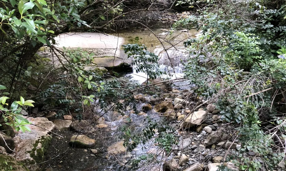 Pupu Hydro Run, Tasman