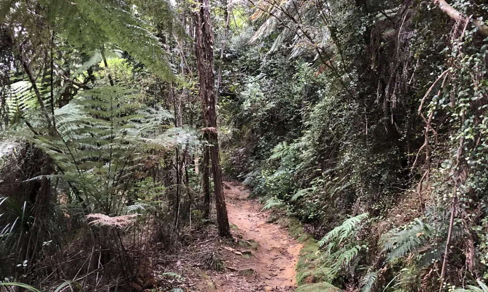 Pupu Hydro Run, Tasman