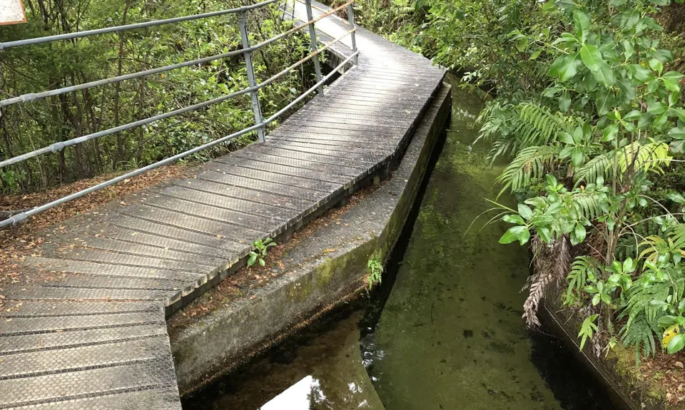 Pupu Hydro Run, Tasman