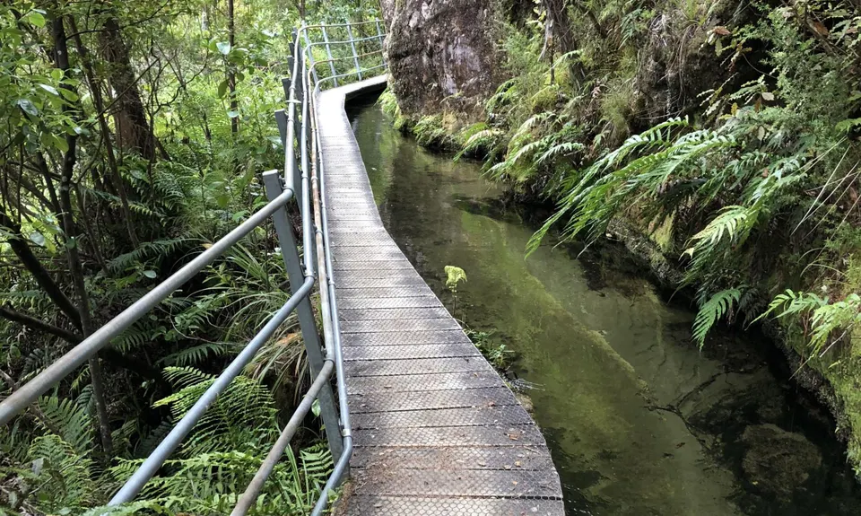 Pupu Hydro Run, Tasman