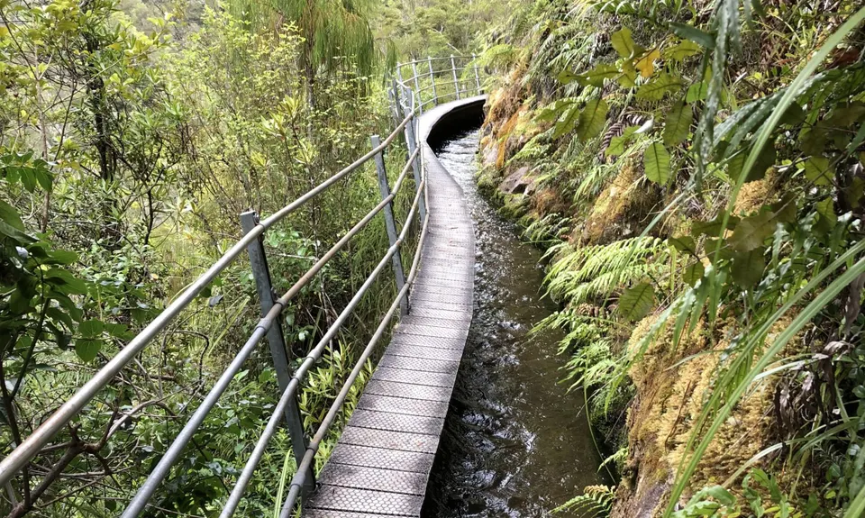 Pupu Hydro Run, Tasman