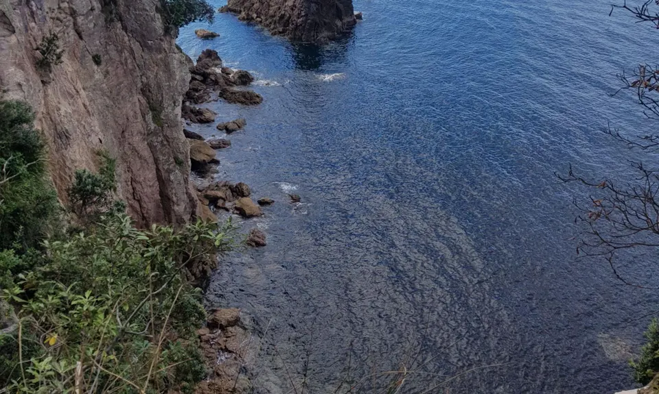 Paradise in Onemana, Waikato