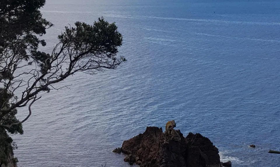 Paradise in Onemana, Waikato