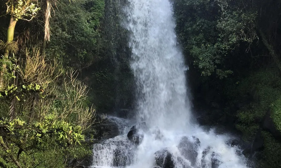 Harker Reserve to Vivian Falls, Waikato