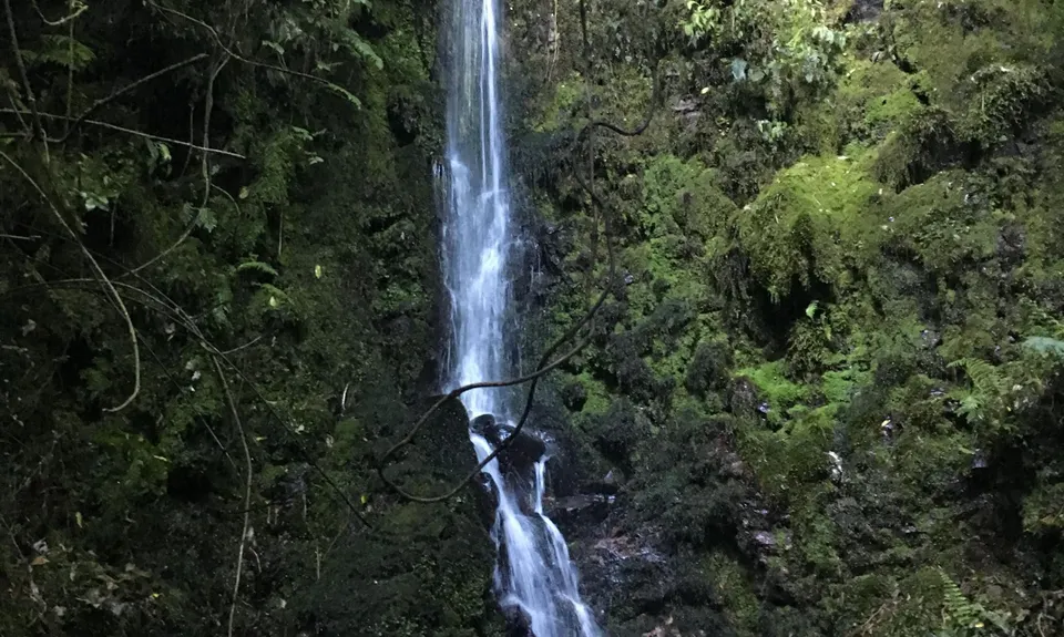 Lindemann's Loop, Bay of Plenty
