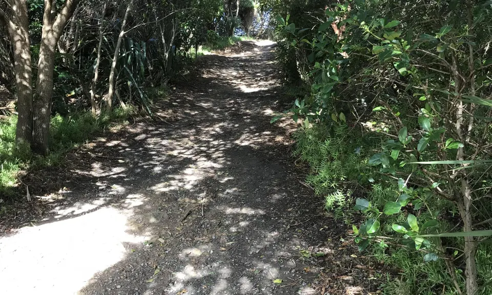 Tawatawa Trails, Wellington