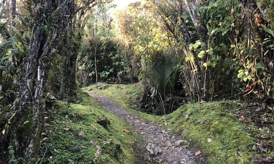 Point Elizabeth Track, West Coast