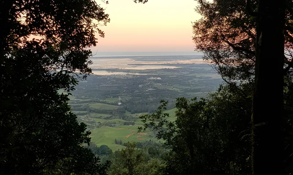 Hot Springs Loop, Bay of Plenty