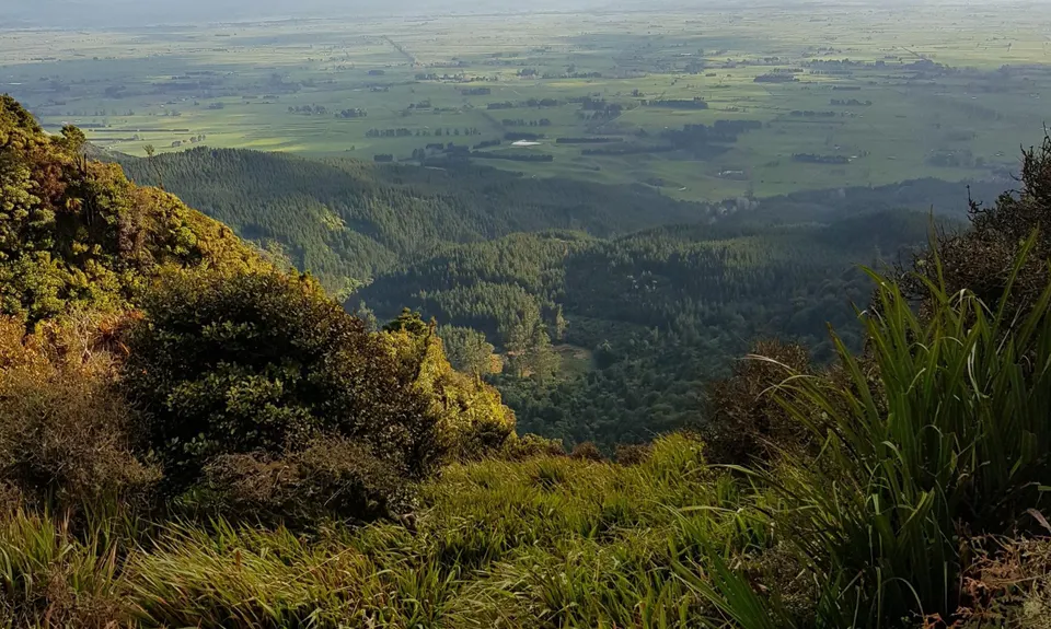 Hot Springs Loop, Bay of Plenty