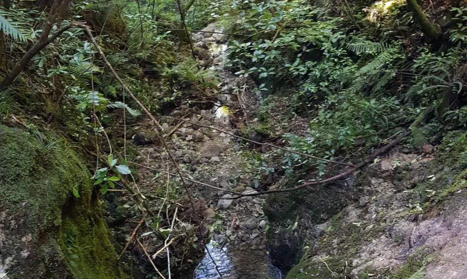Hot Springs Loop, Bay of Plenty