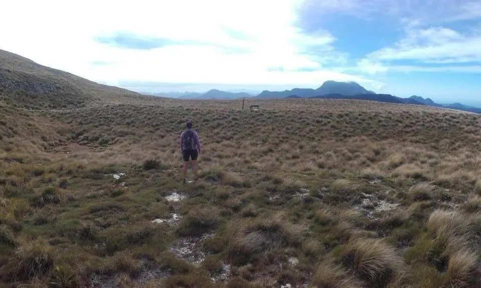 Quest for Mt Richmond, Marlborough