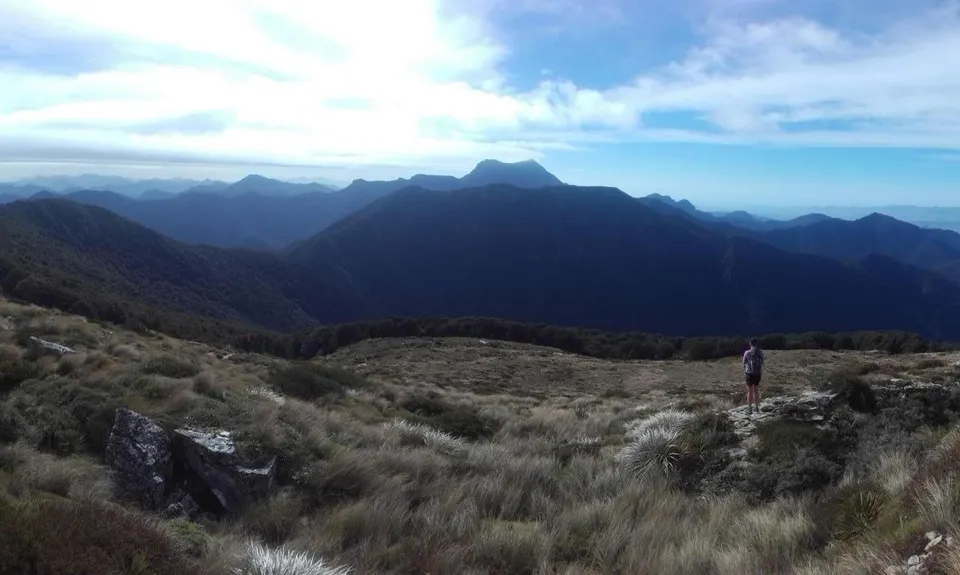 Quest for Mt Richmond, Marlborough