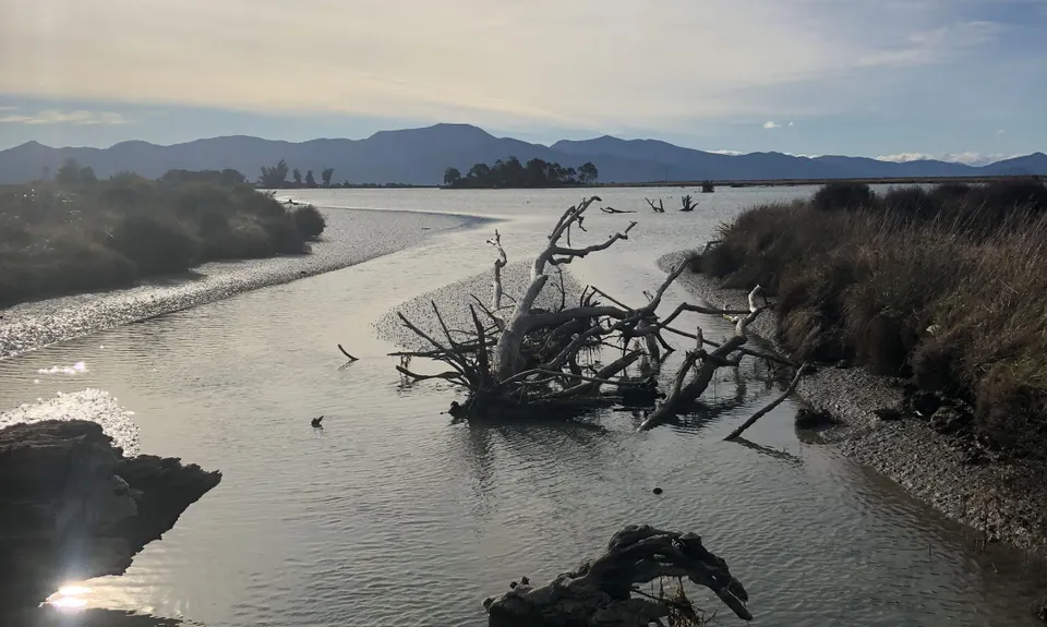 Wairau Lagoons Loop, Marlborough