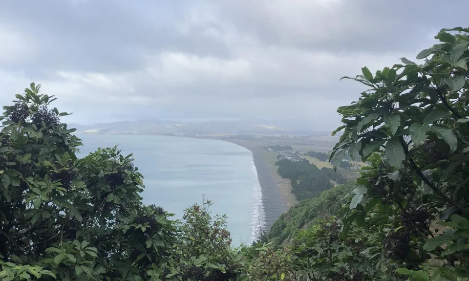 Tokomaru, Mt Robertson Circuit, Marlborough