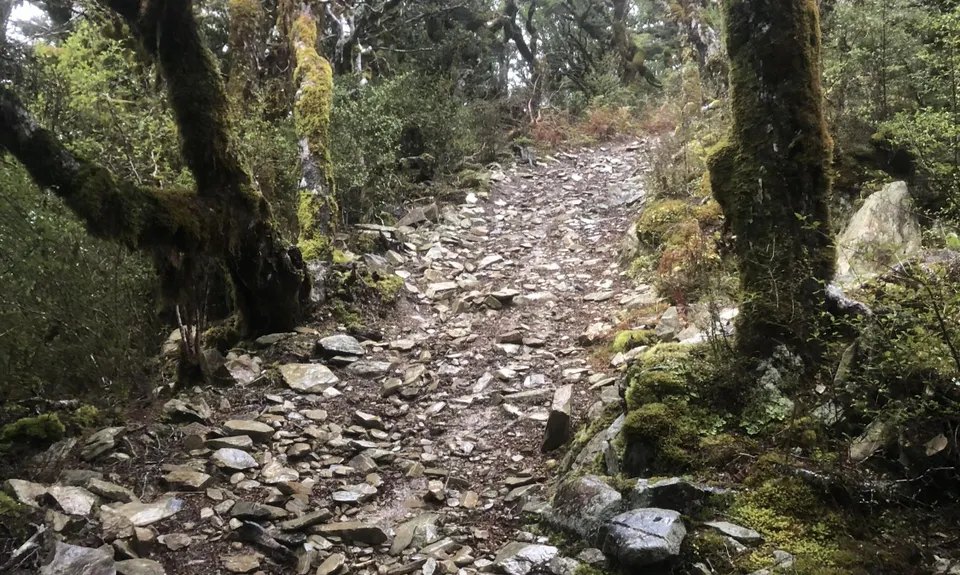 Tokomaru, Mt Robertson Circuit, Marlborough
