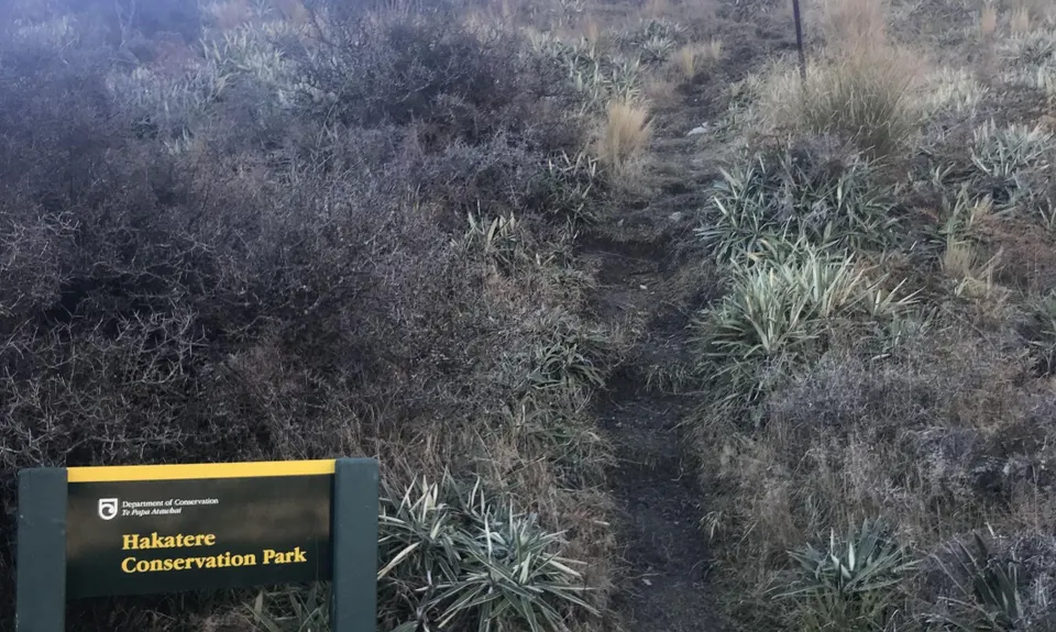 Mt Barrosa Burn, Canterbury