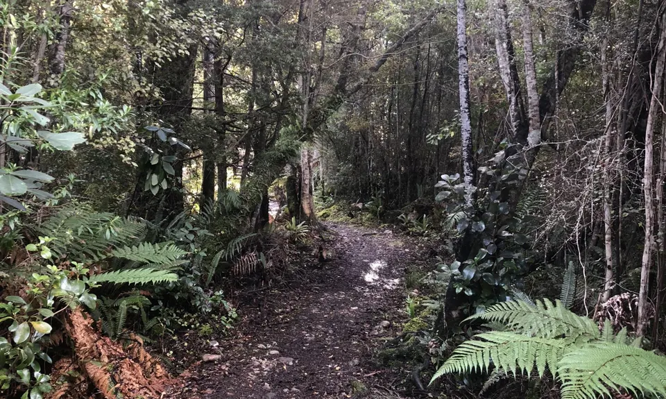 A Slice of the South, Southland