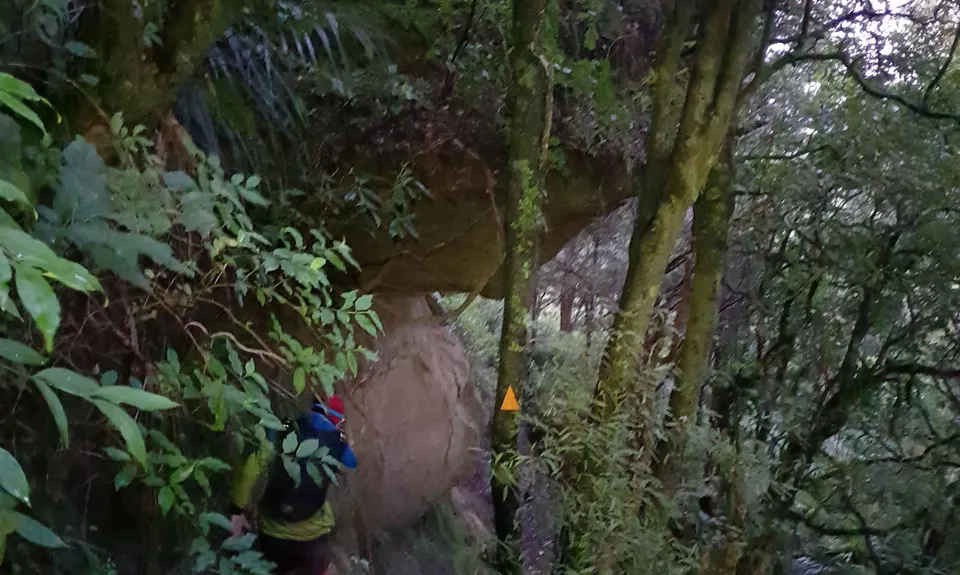 Matakana to Dome Valley Return, Auckland