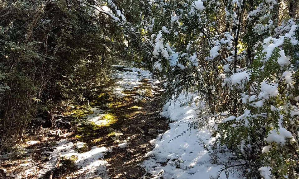 Mt Richardson Rippa, Canterbury