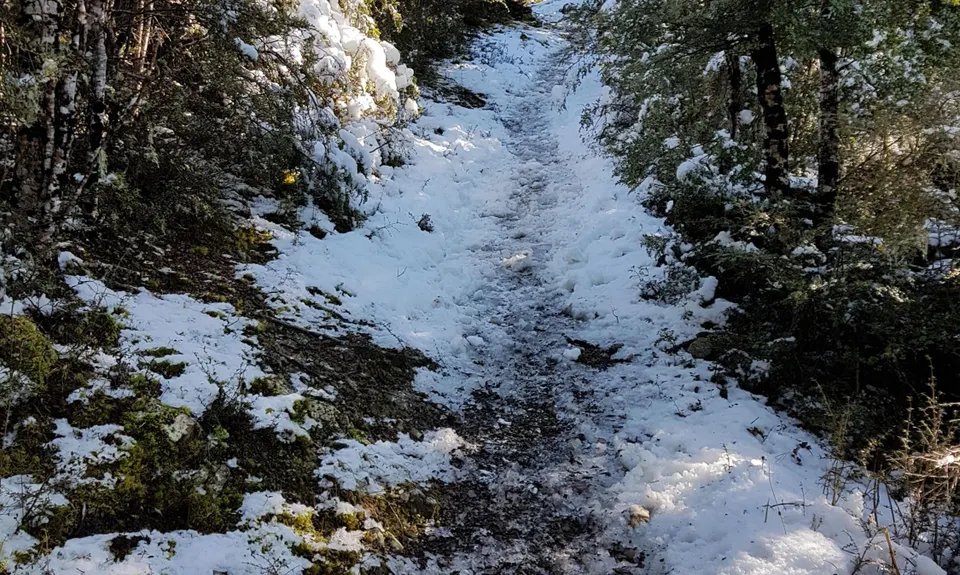 Mt Richardson Rippa, Canterbury