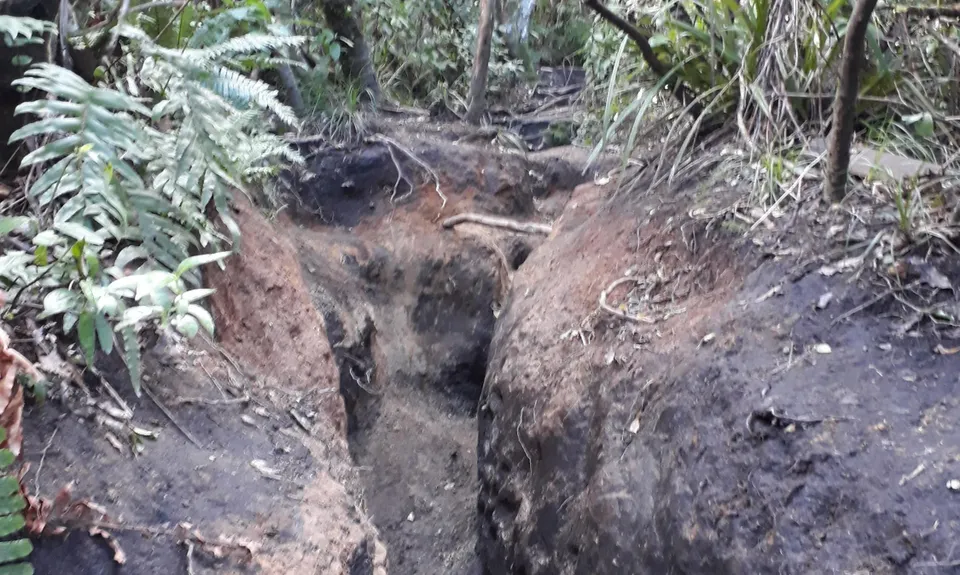 Tauhara Grunt, Waikato