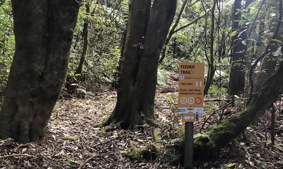Fat Man's Run, Bay of Plenty