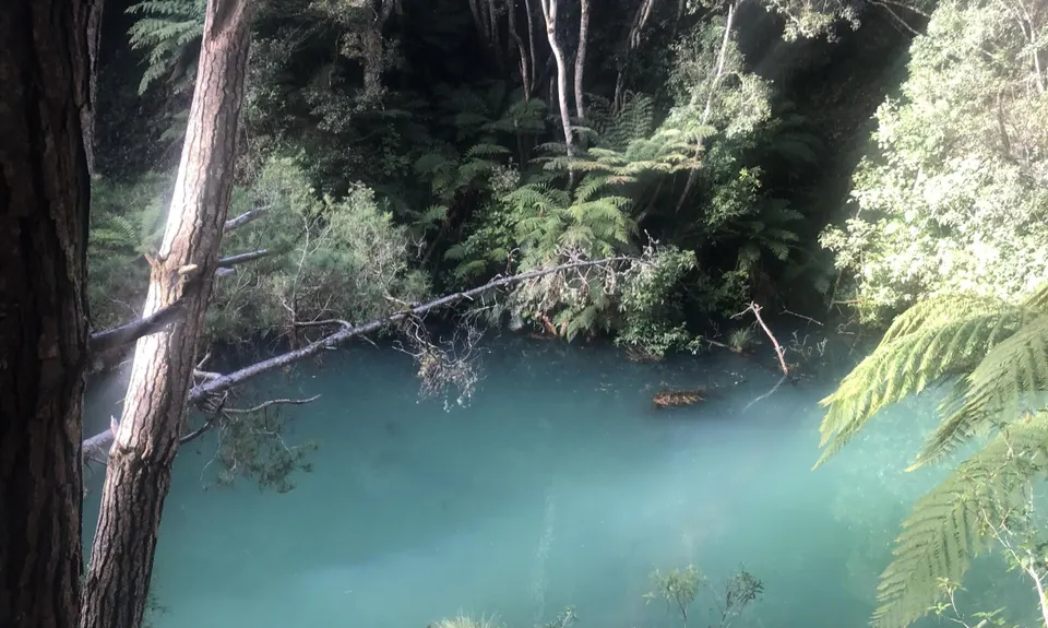 Waitahinga Dam Loop, Manawatu - Wanganui