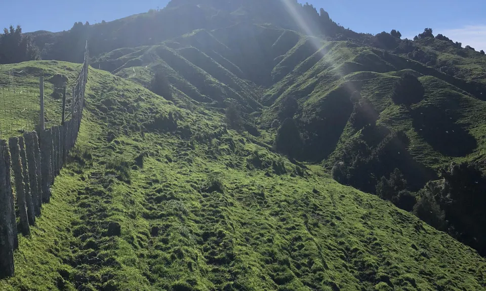 The Other Mt Hikurangi, Manawatu - Wanganui