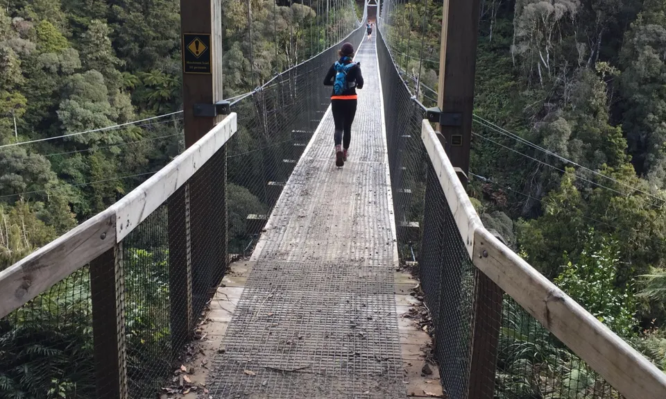 Timber Trail, Waikato