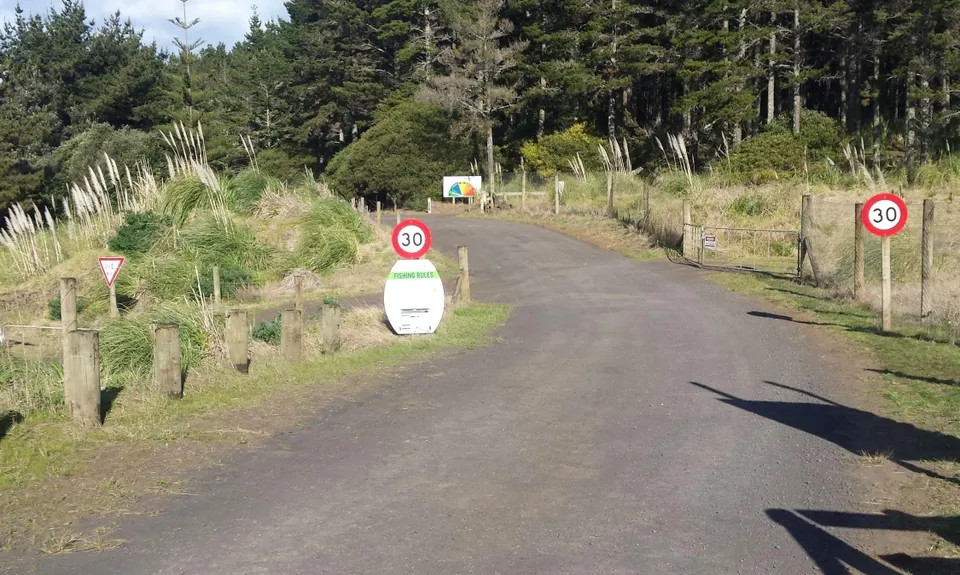 Waiuku Forest Intro, Auckland