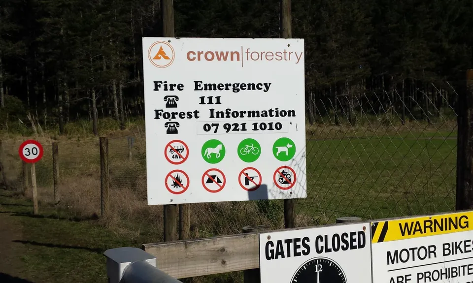 Waiuku Forest Intro, Auckland