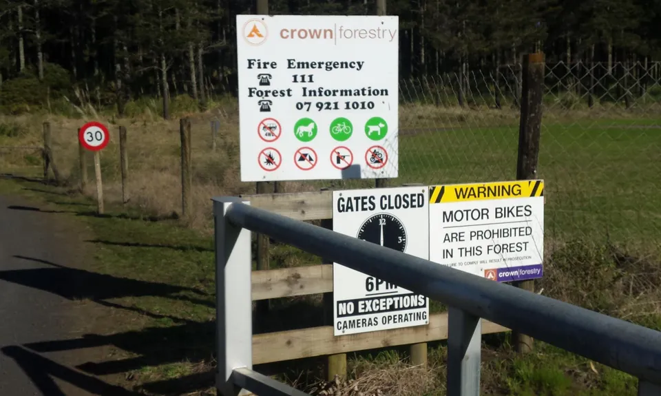 Waiuku Forest Intro, Auckland
