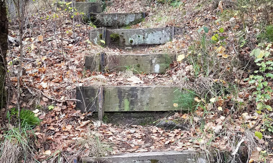 Hanmer Old Forest Loop, Canterbury