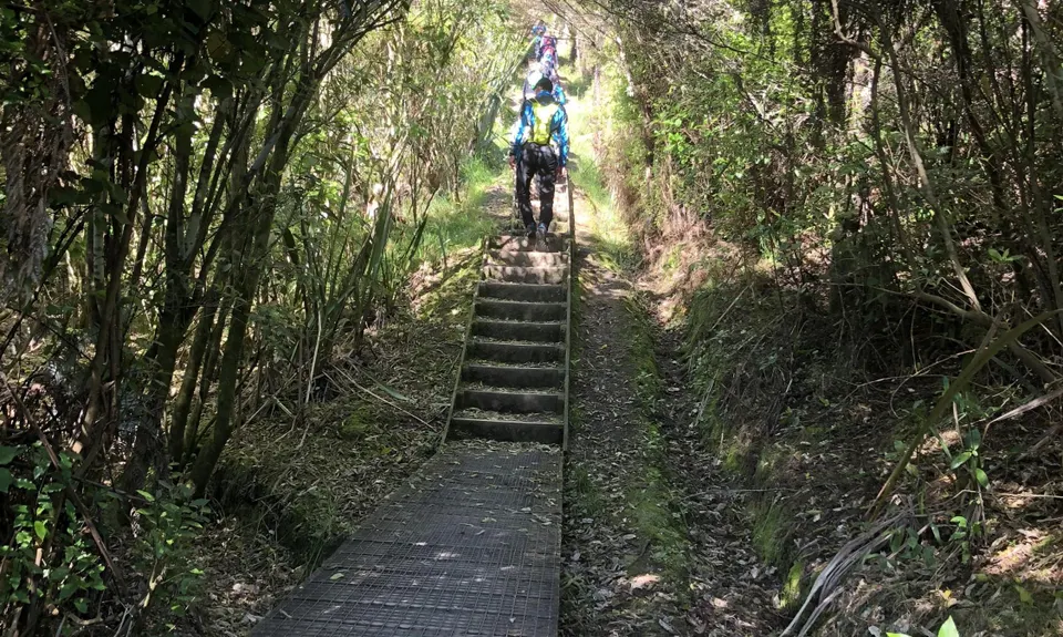 Hakarimata Traverse , Waikato