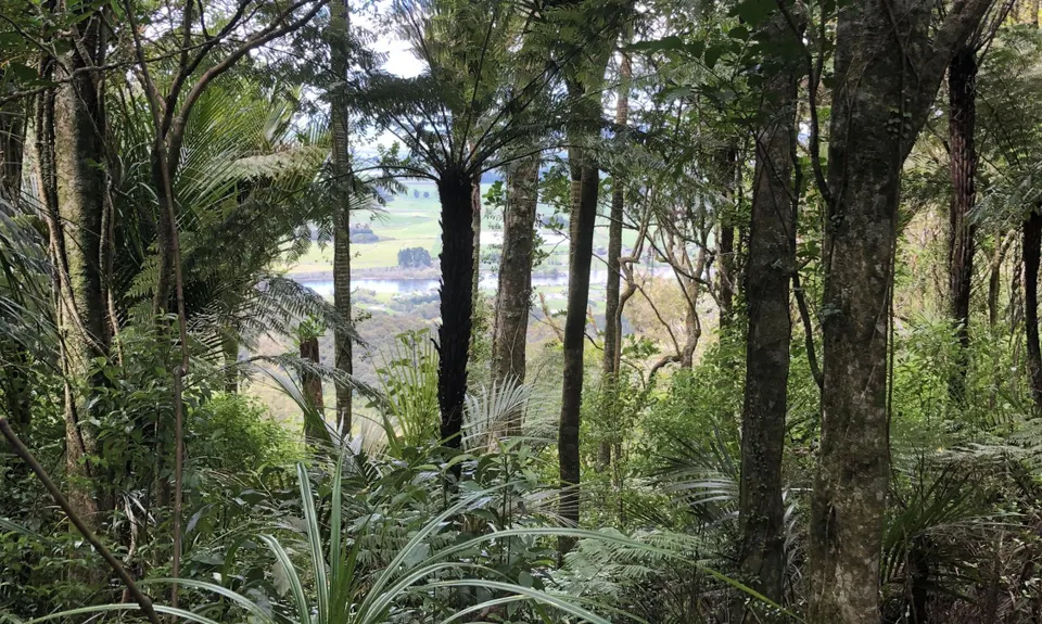 Hakarimata Traverse , Waikato