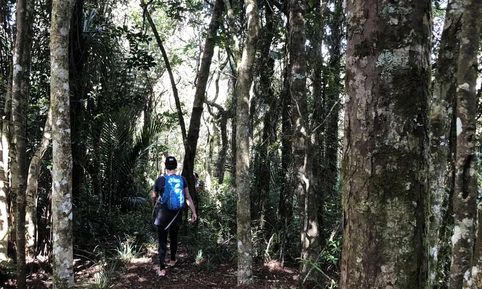 Hakarimata Traverse , Waikato