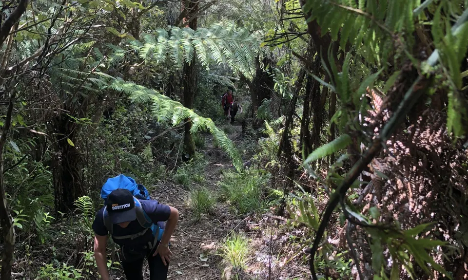 Hakarimata Traverse , Waikato