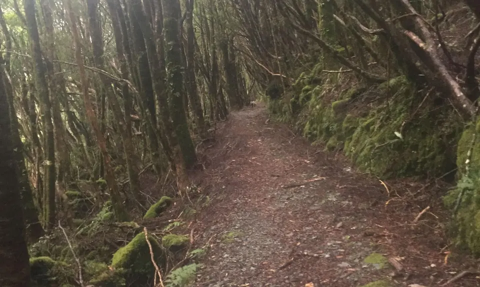 Croesus Crossing, West Coast