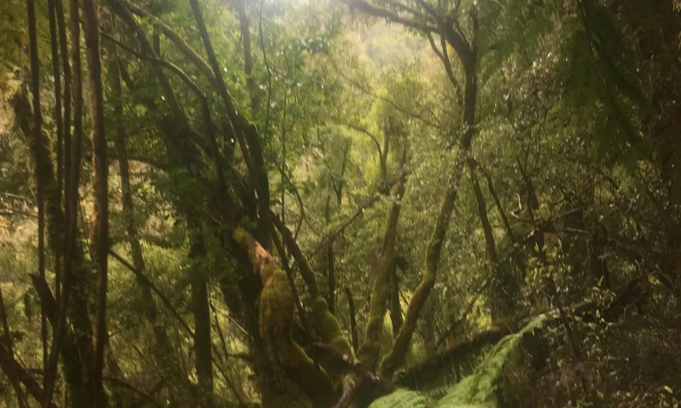 Croesus Crossing, West Coast